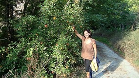 Are you coming along to the orchards with me?
