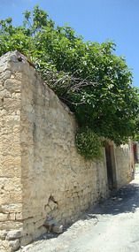 Vouni -Limassol District