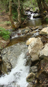 The Kalidonia Trail in Pano Platres