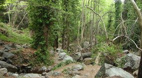The Kalidonia Trail in Pano Platres