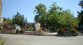 The Bronze bust and the little green oasis -Fyti