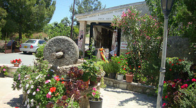 The preserved Olive press - Fyti, Paphos