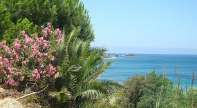 Morning view - Aphrodite Beach Hotel, Latchi