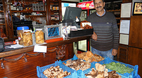 Tony with his amazing wild mushrooms