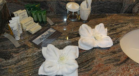 Toiletries and towel art