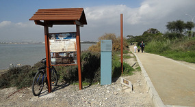 The Salt Lake park in Larnaca