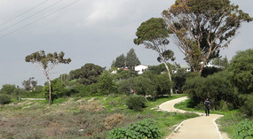 The trail by the Salt Lake in Larnaca