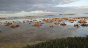 The salt lake very close to Perivolia