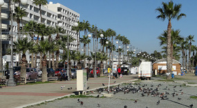 Finikoudes in January