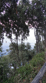 Holidays at the Magic Balcony -Mouresi