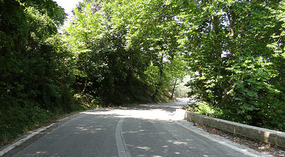 On the way to Milies -Pelion