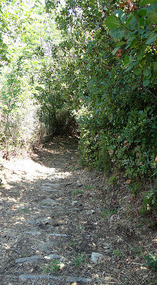 Walking through the path of Damouchari - Mouresi