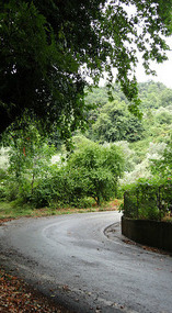 The way down to Agios Ioannis -Mouresi