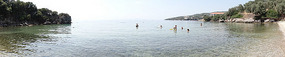 The Olive bay Cafe  -Horto