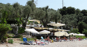 The Olive bay Cafe  -Horto