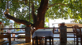 Lunch at the LOTOS Tavern -Ag. Lavrentios