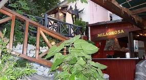 Lunch at the MILAGROSA- Grill tavern - Tsagkarada