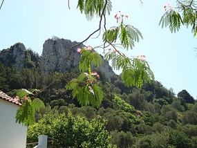 HEADING TOWARDS THE WATERFALL