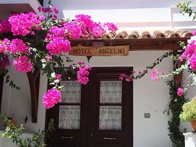 BEAUTIFUL BOUGANVILLEA  