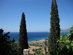 THE VIEW FROM UP THE HILL