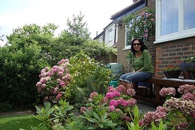 MARO'S GARDEN