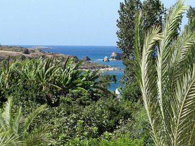 View from my room