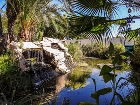 The hidden garden of the SPA