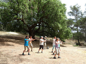 The Tai Chi session