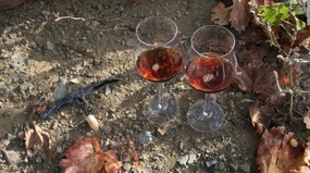 Commandaria Cypriot wine