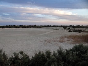 The natural wetland in Oroklini