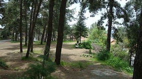 Part of the bautiful gardens - Forest Park Hotel 