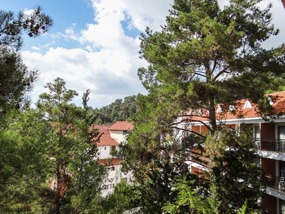 Pine wood gardens, view from the room