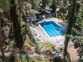 The beautiful gardens and swimming pool 