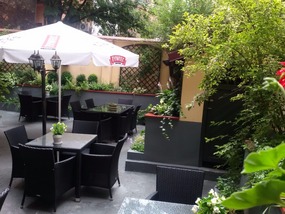 The back yard of the hotel