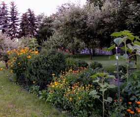 The organic garden of U Braci restaurant 