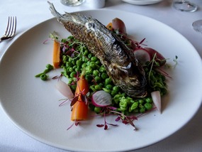 Grilled Gilthead fish 