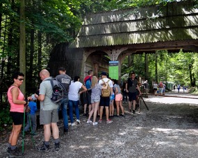 Hiking at the National Park of Zakopane