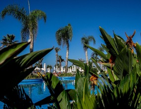 Beautiful swimming pools throughout the garden
