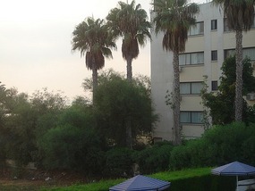 THE WALKING TRAIL AT DEKELIA ROAD