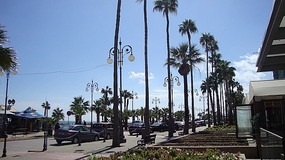 The Palm Tree Avenue (Phinikoudes)