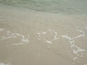 Calm crystal waters in March -video