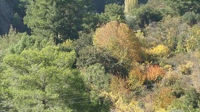Nature and its beautiful colours 