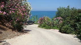 The road leading to the beach 