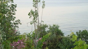 Calm crystal waters in Latchi