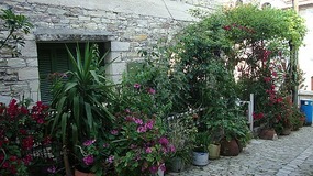 A flowery corner -Pano Lefkara