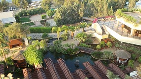 The Tropical garden