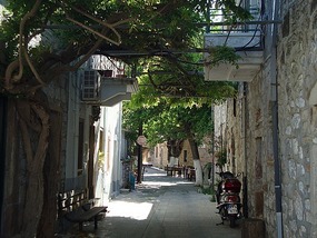 In the streets of the village