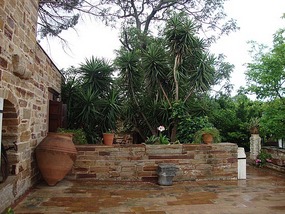 The court yard