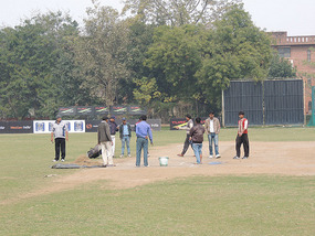 Preparing the ground