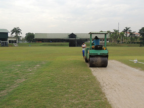 The Pitch
